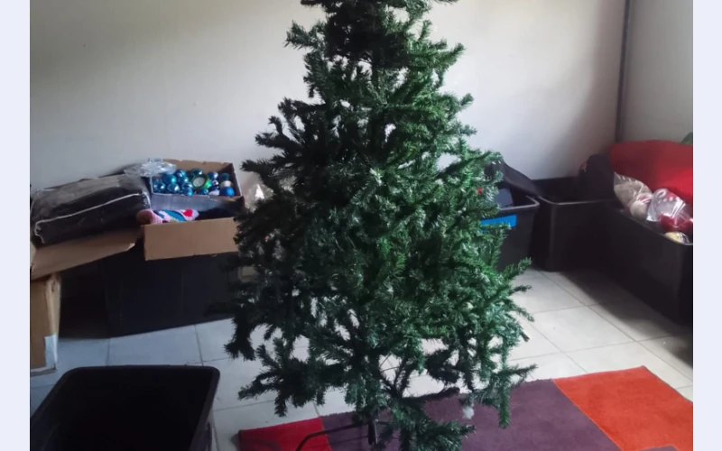 christmas-trees-you-will-never-get-another-christmas-tree-this-size-for-this-price-so-hurry-and-come-and-buy-it