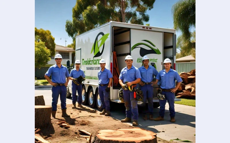 Tree Felling and All Removals ,cleaning office