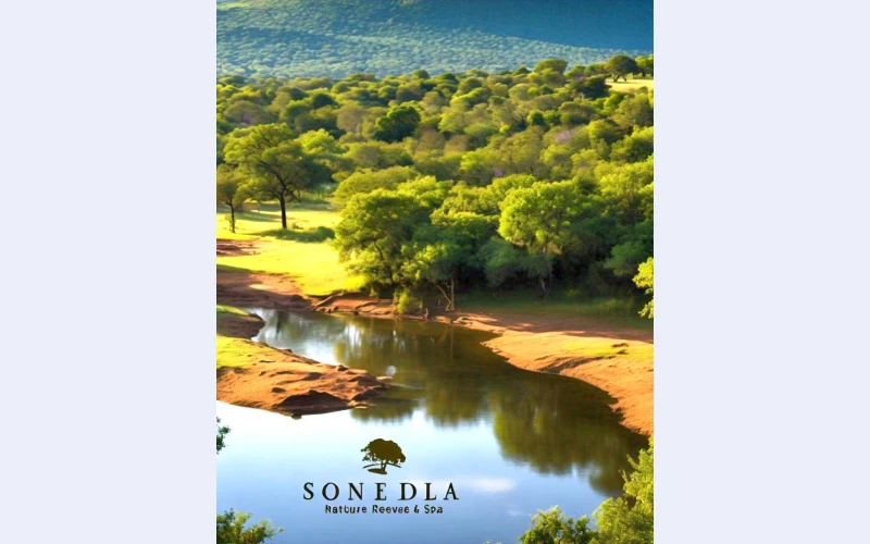 Sondela Nature Reserve & Spa  A Hidden Gem JHB