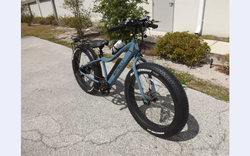 fat-boy-mountain-bike-electric--bicycle