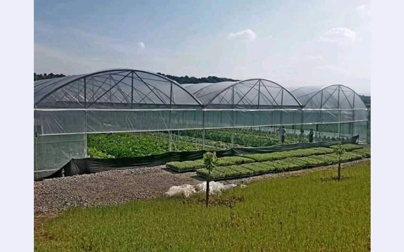 Greenhouse tunnels and chicken houses