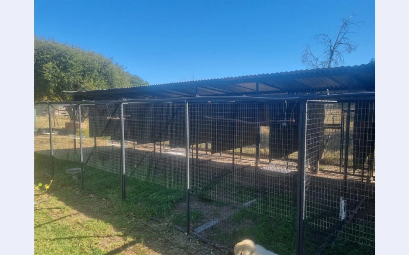 parrot-cages-in-gauteng---tierpoort