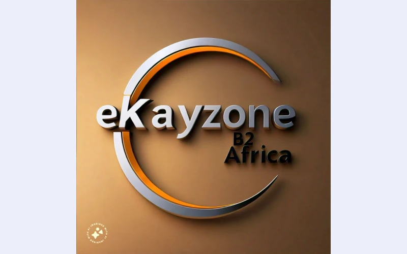 eKayzone : An Overview of Key Market Segments