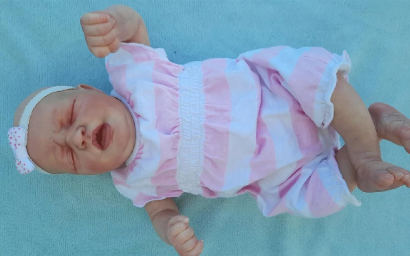 new-handpainted-reborn-doll-for-sale-in