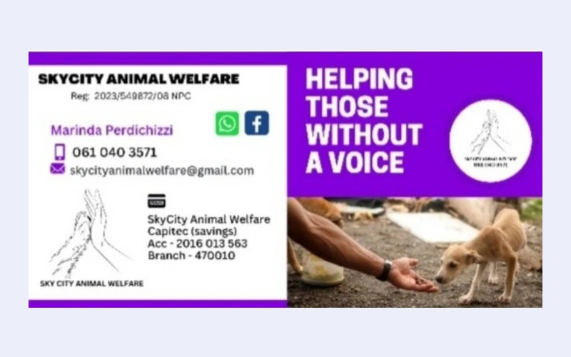 Sky City Animal Welfare