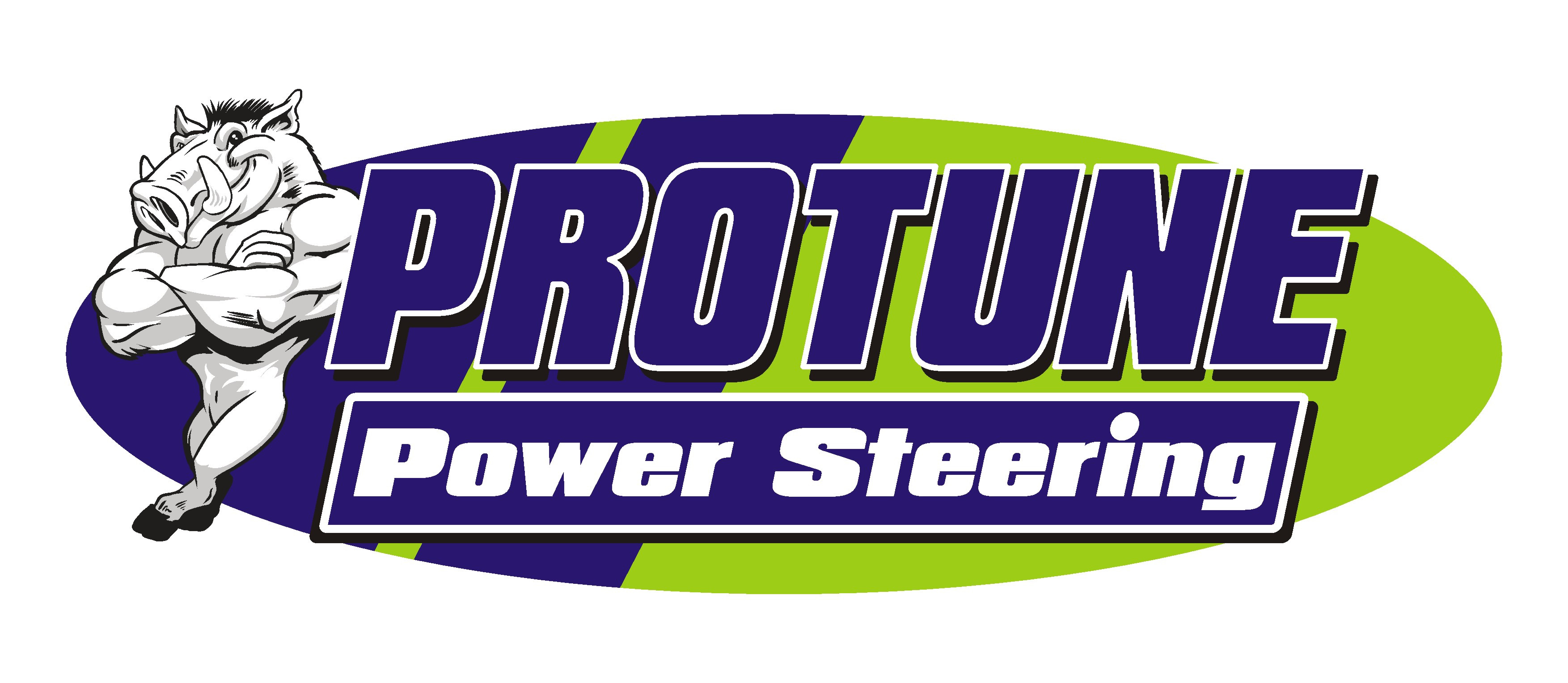 Protune Power Steering
