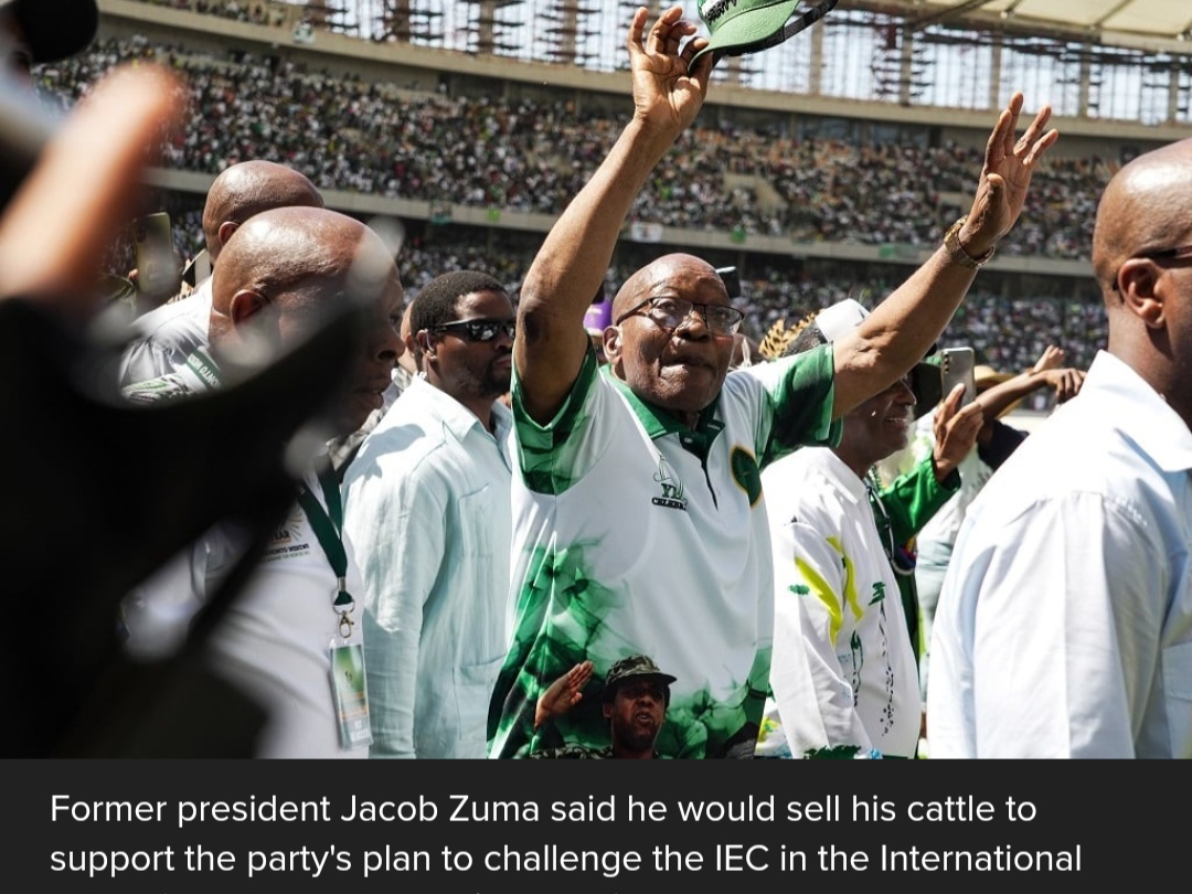 Zuma Will Sell Cattle to Challenge IEC in International Court